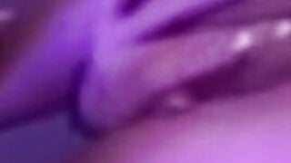 Dragana Mitar (zadruga)