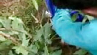 Indian popular videos