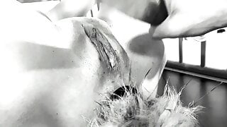 The beauty and the cage: The naughty version